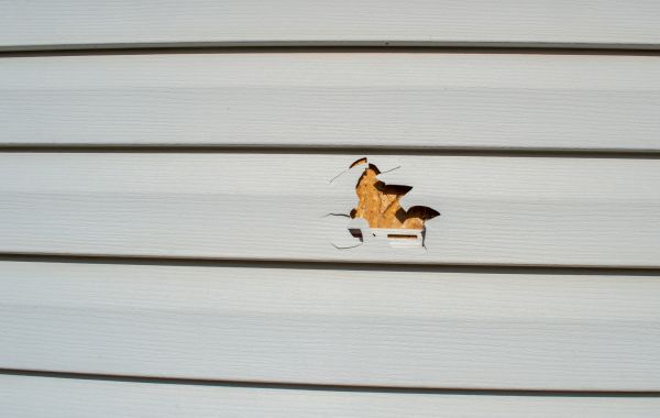 Siding Hole Repair in Chico