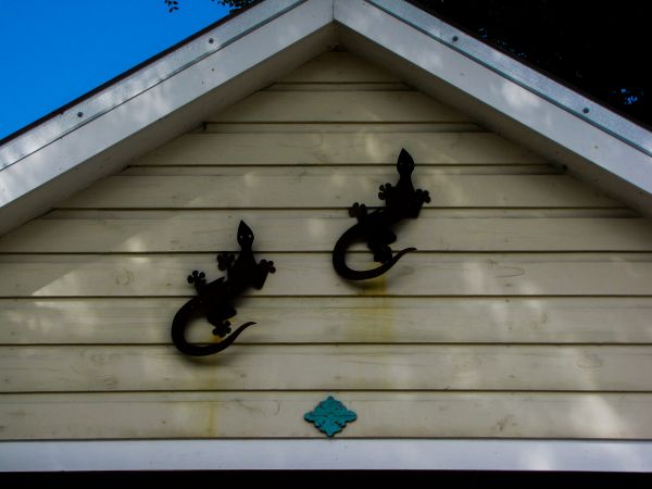 Shiplap Siding Installation in Chico